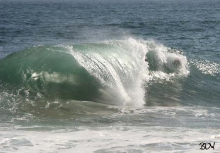 The Wedge
