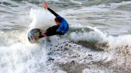 Animal Newquay Open Day 1