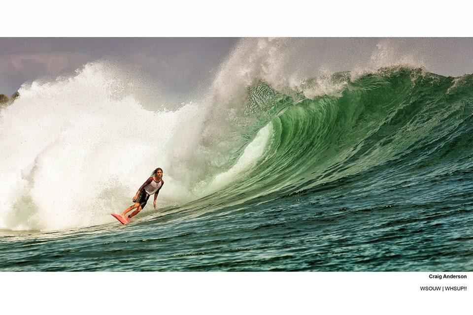 Craig Anderson