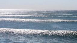 Swell Lines