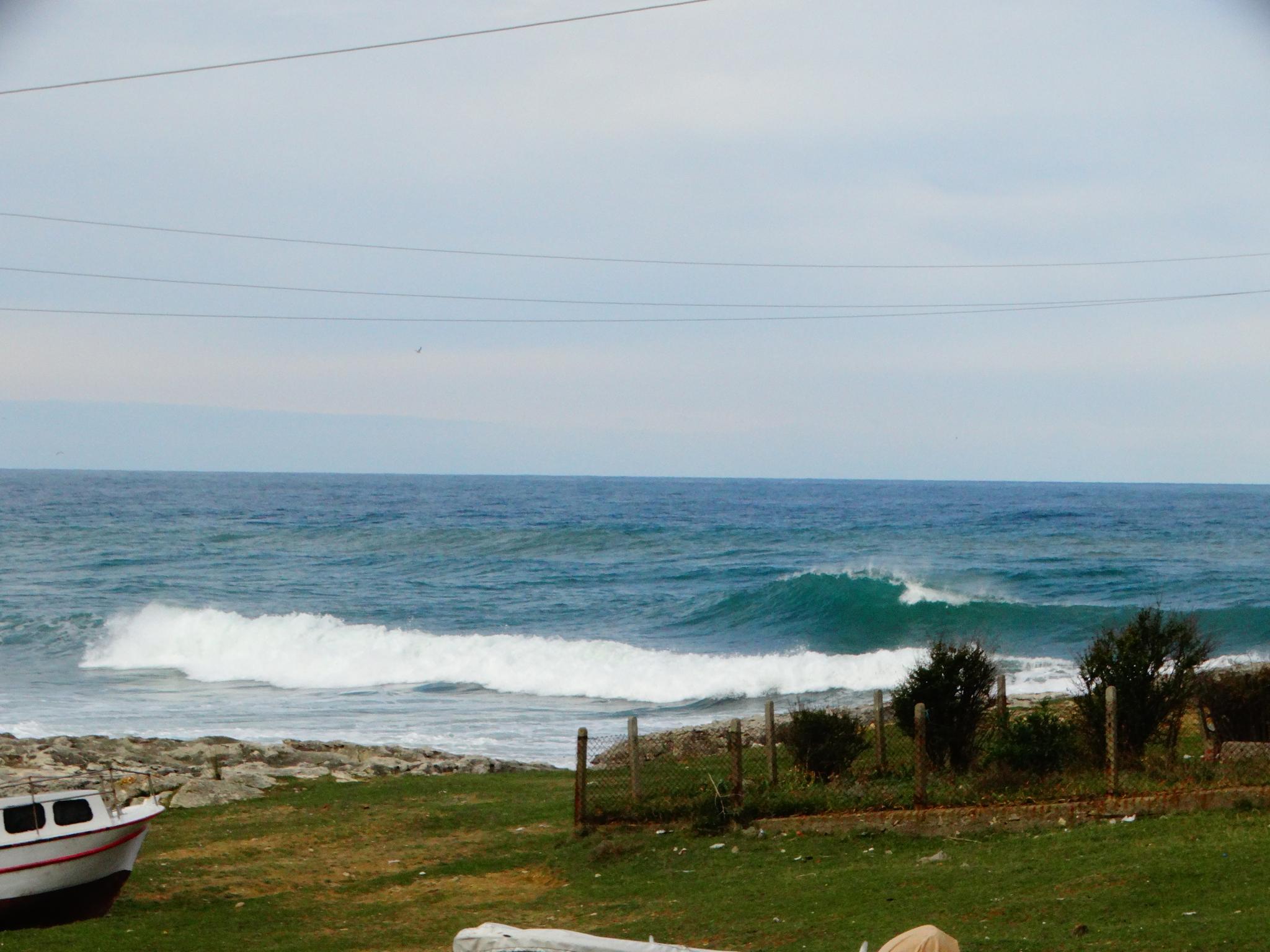 DANUBE SURF COMMUNİTY