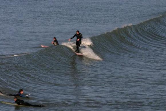 Longboarders in New Zealand