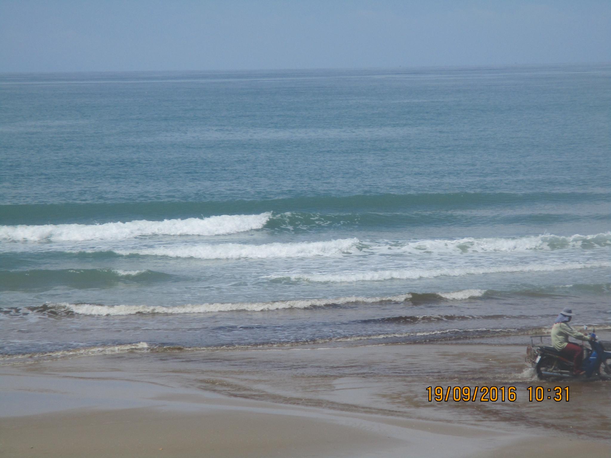 rayong surf shop surf school