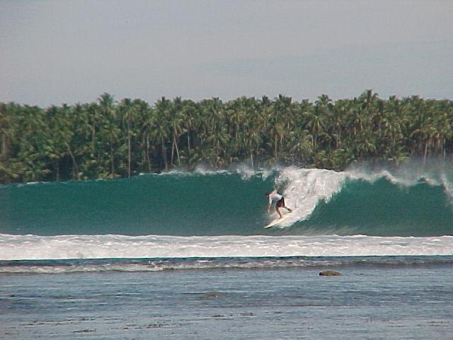 Nias 2001
