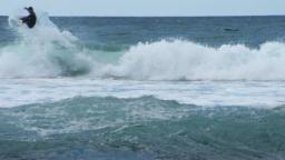 burleigh australia