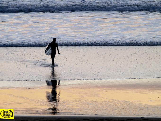 Homegrown surfschool
