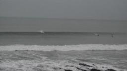 Grey Lines