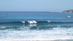 Rottnest