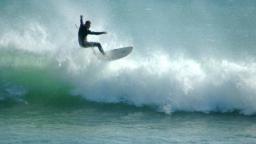 houghton bay wellington