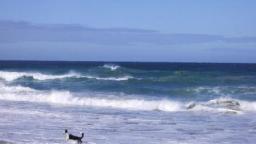 Great Ocean Rd, VIC, Australia