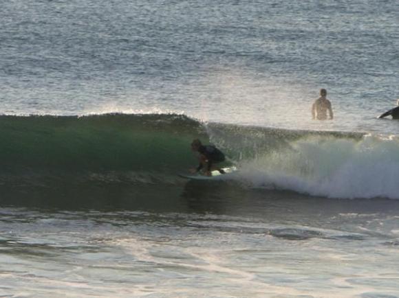 Cronulla, Oak Park