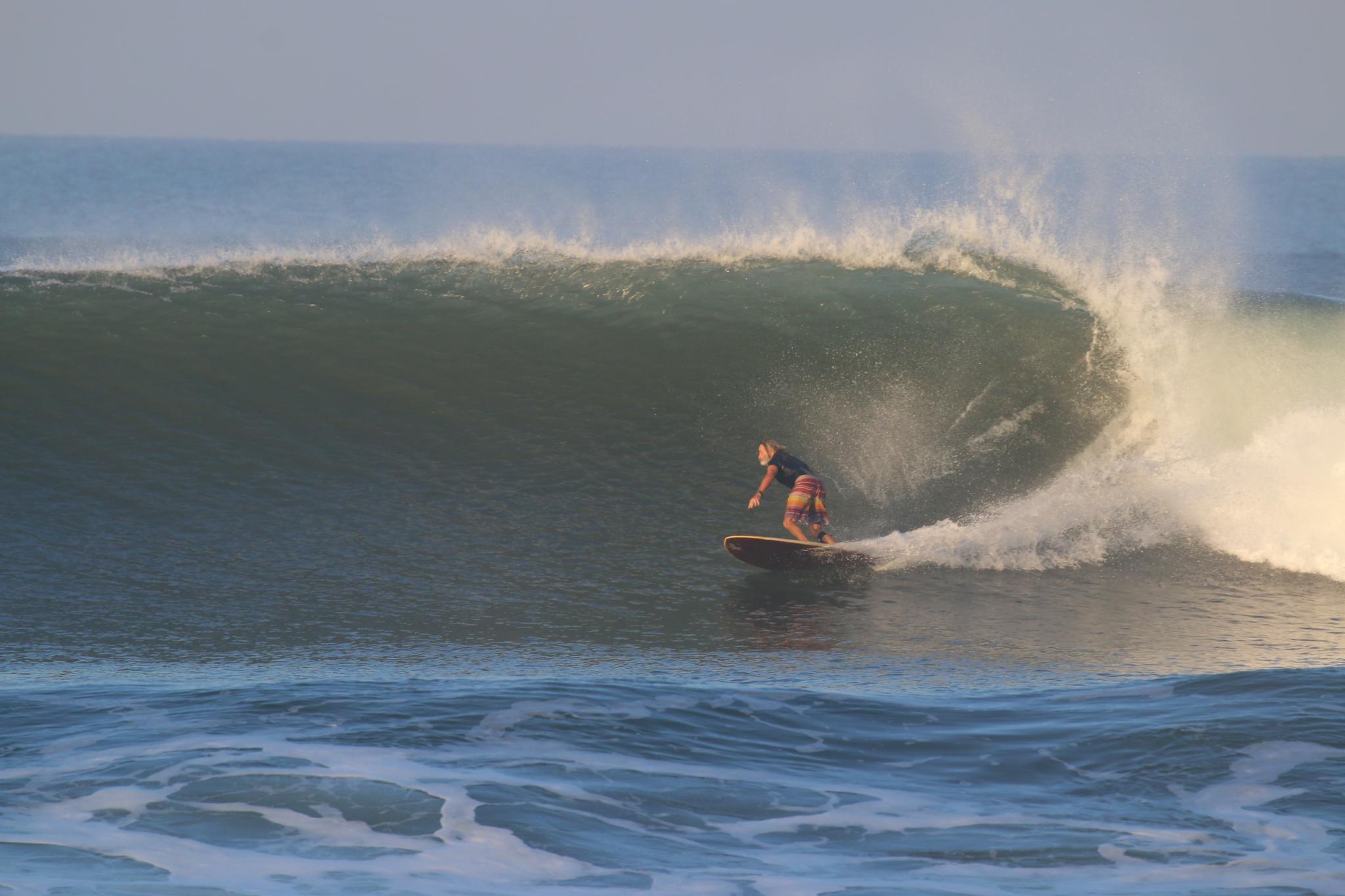 Surfer Natural's