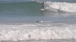 surfing Morocco