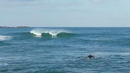 DANUBE SURF COMMUNİTY