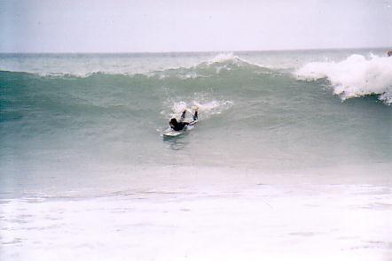 Kaikoura Surf Pictures
