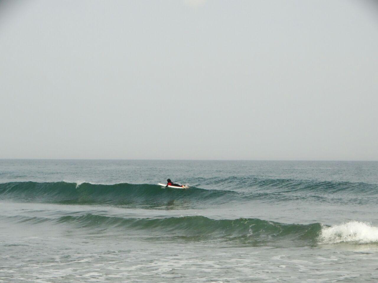 DANUBE SURF COMMUNİTY