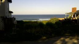 cayucos, Studias dr