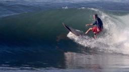 Surfing