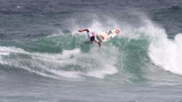 Alex Dive Piha ISA