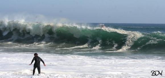 Wedge