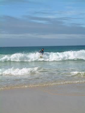 Small Days Surf