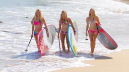 surf