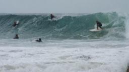 snapper rocks