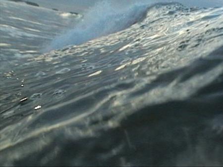 Santa Cruz Surf