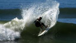 Cutback