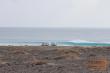rapanui