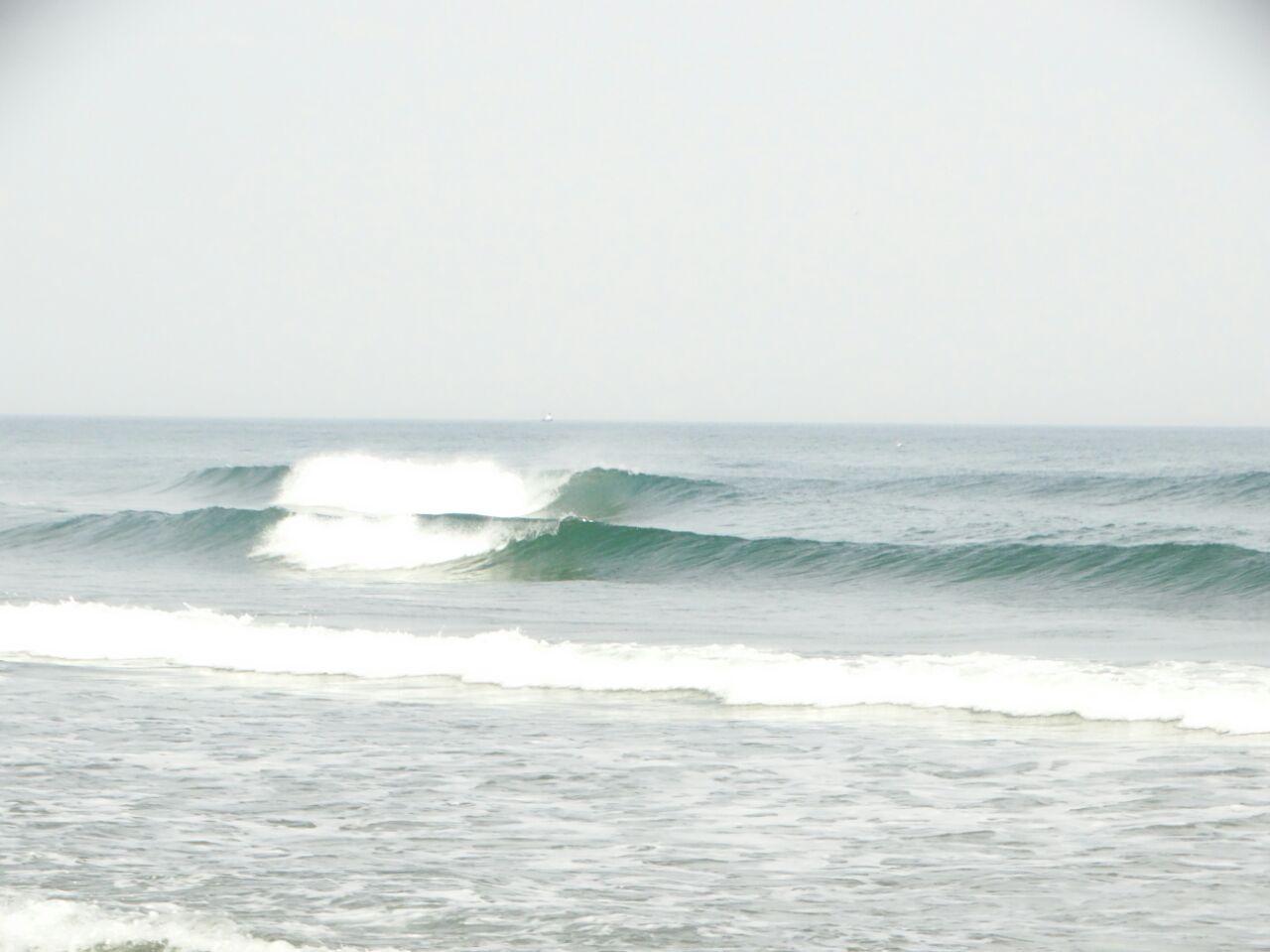 DANUBE SURF COMMUNİTY
