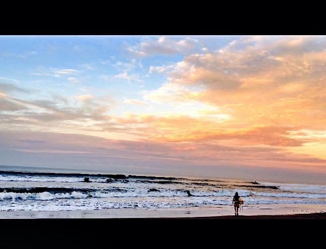 surf