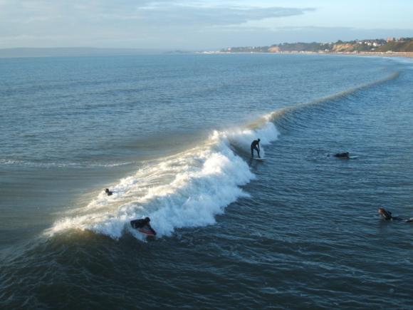 Surfing Photo - No Title