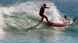 Longboard Cutback