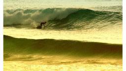 vilela_freesurf
