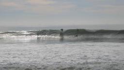 s.b. cal