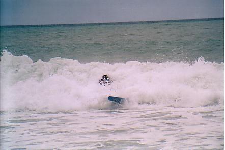 Kaikoura Surf Pictures