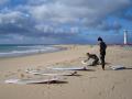 www.rapanui-surfschool.com