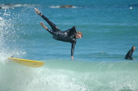 houghton bay wellington
