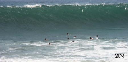 The Wedge