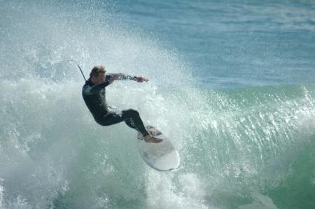 houghton bay wellington