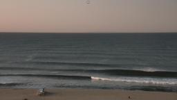 Perfect Peelers