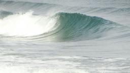 DANUBE SURF COMMUNİTY