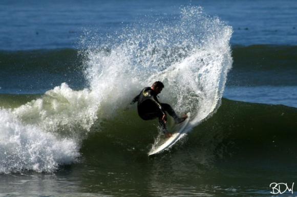 Cutback