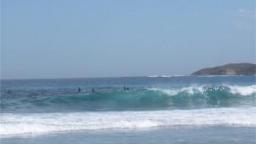 Rottnest Island