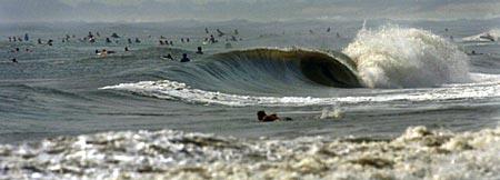 Virginia Surf