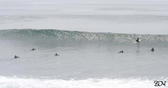 Set Wave