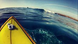 Surfin North