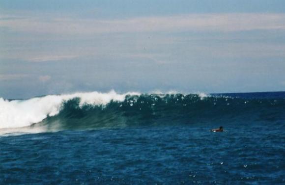 Left  mentawai