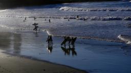 surfers paradise Las Palmas Gran Canaria 2